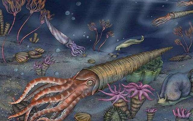 泥盆紀化石寶庫重現貴州，83種遠古海洋生物揭示生命演化與醫藥研發新曙光